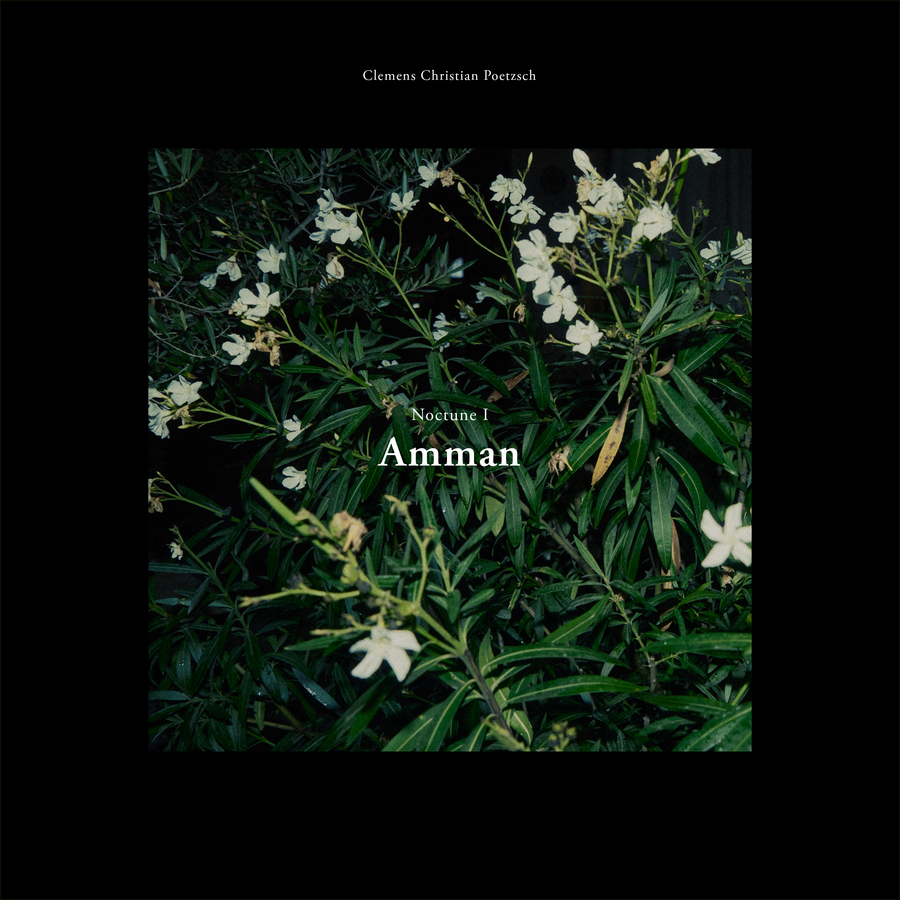 Noctune: I. Amman Noctune: I. Amman